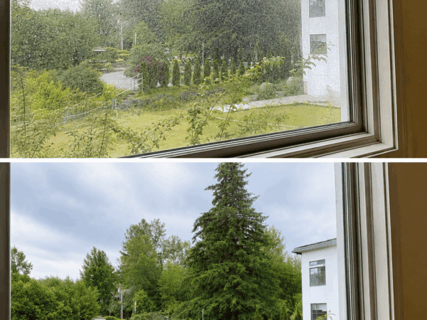 Fenster streifenfrei putzen: Mit dieser einfachen Methode wird die Scheibe wieder glasklar