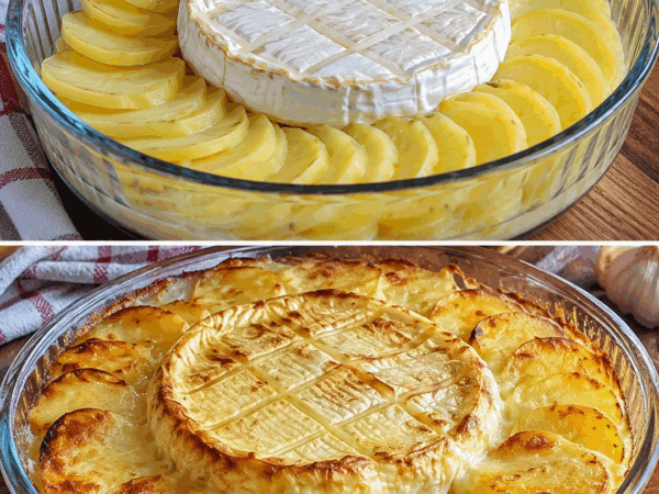 Dieses Kartoffel-Camembert-Gratin ist pure Ofenliebe – innen cremig, oben goldbraun und herrlich einfach