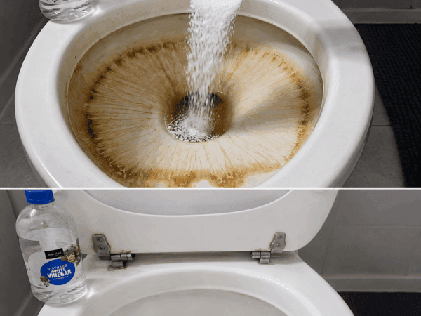 Braune Kalkränder in der Toilette entfernen: So wird die Schüssel wieder sauber