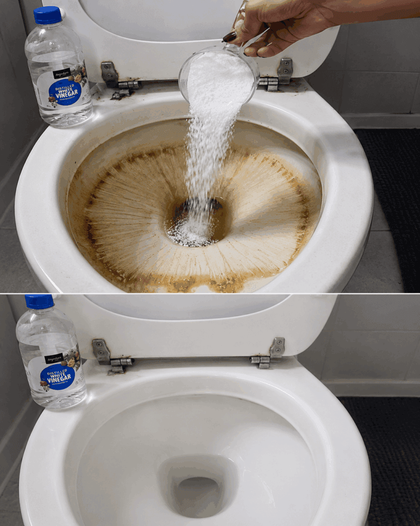 Braune Kalkränder in der Toilette entfernen: So wird die Schüssel wieder sauber