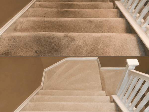 Teppichtreppen wieder sauber bekommen: So verschwinden dunkle Laufspuren und Flecken