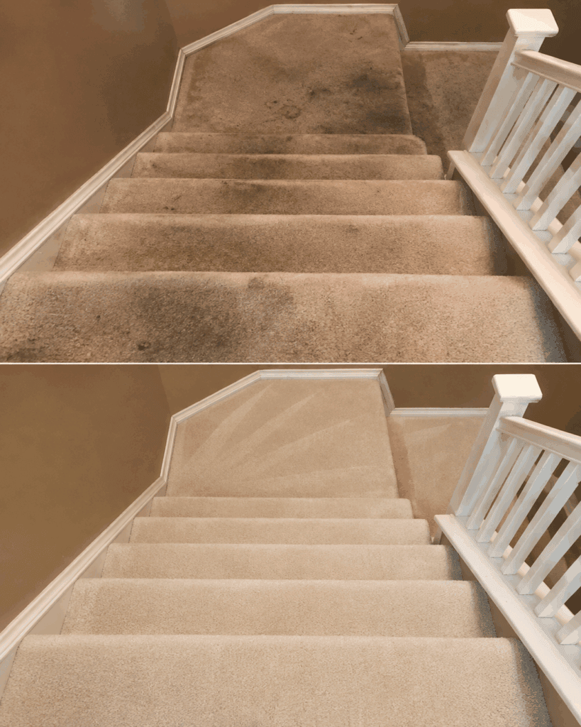 Teppichtreppen wieder sauber bekommen: So verschwinden dunkle Laufspuren und Flecken