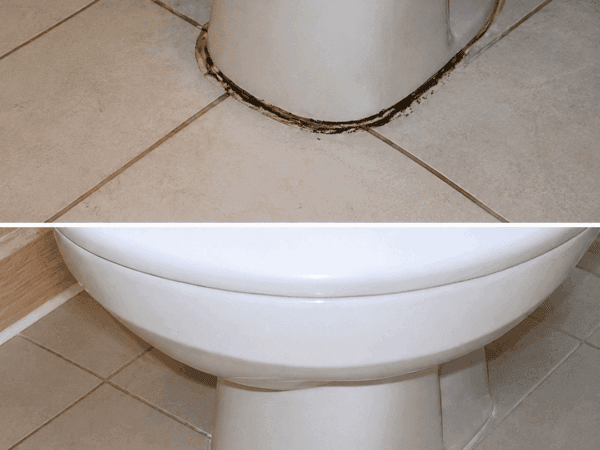 Kalk und Urinstein in der Toilette mit Zitronensäure lösen