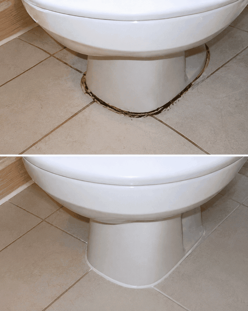 Kalk und Urinstein in der Toilette mit Zitronensäure lösen