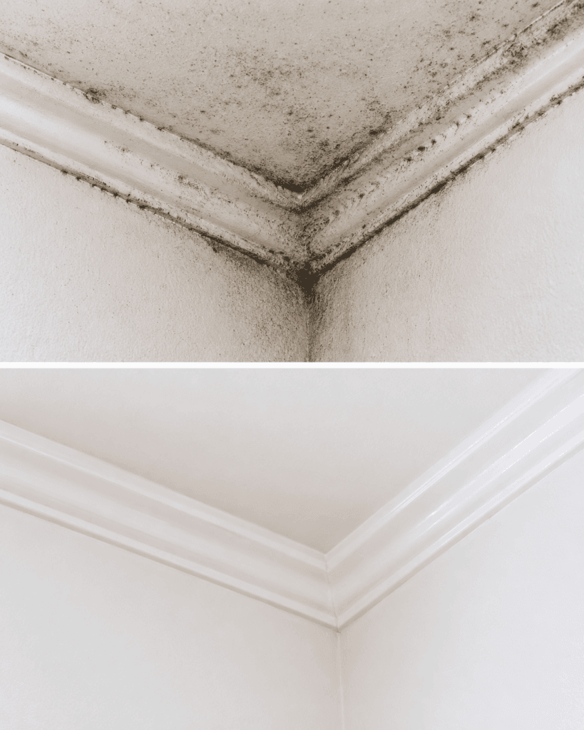 Schimmel an Wand und Decke entfernen: So bekommst du kleine Flecken sicher in den Griff