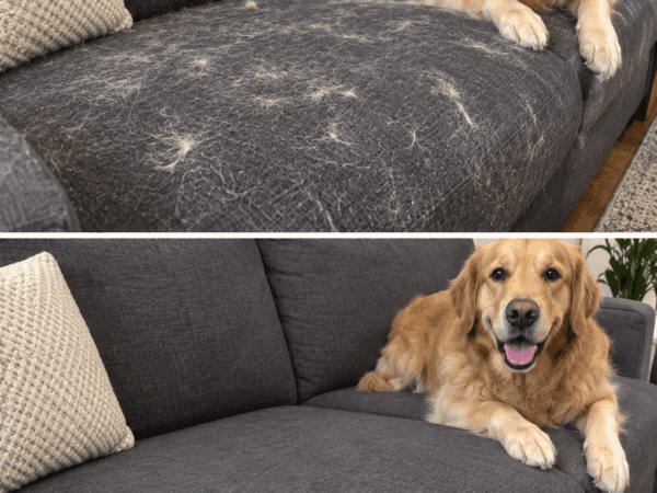 Sofa voller Tierhaare? Mit diesem einfachen Haushaltstrick gehen sie erstaunlich leicht ab