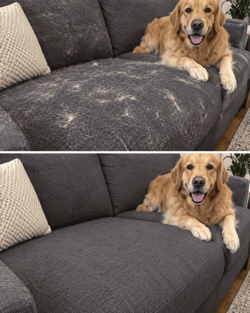 Sofa voller Tierhaare? Mit diesem einfachen Haushaltstrick gehen sie erstaunlich leicht ab