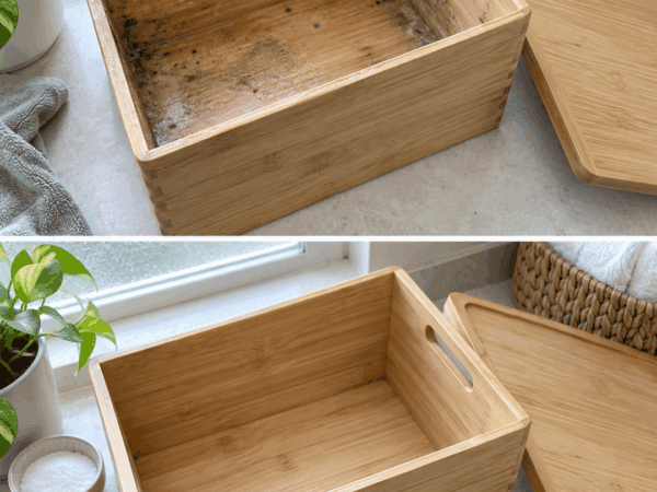 Bambusboxen riechen muffig? Dieser einfache Trocken-Trick schützt vor Flecken und Schimmel