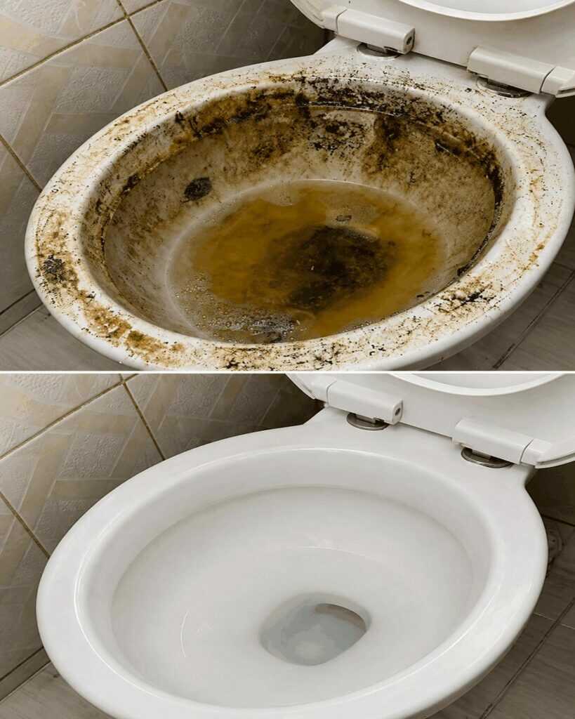Toilette wieder strahlend sauber bekommen: Hartnäckige Verschmutzungen und Urinstein effektiv entfernen