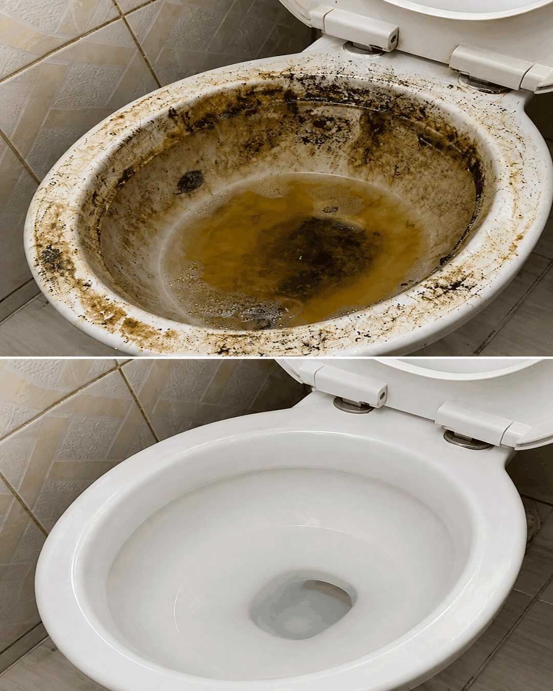 Toilette wieder strahlend sauber bekommen: Hartnäckige Verschmutzungen und Urinstein effektiv entfernen