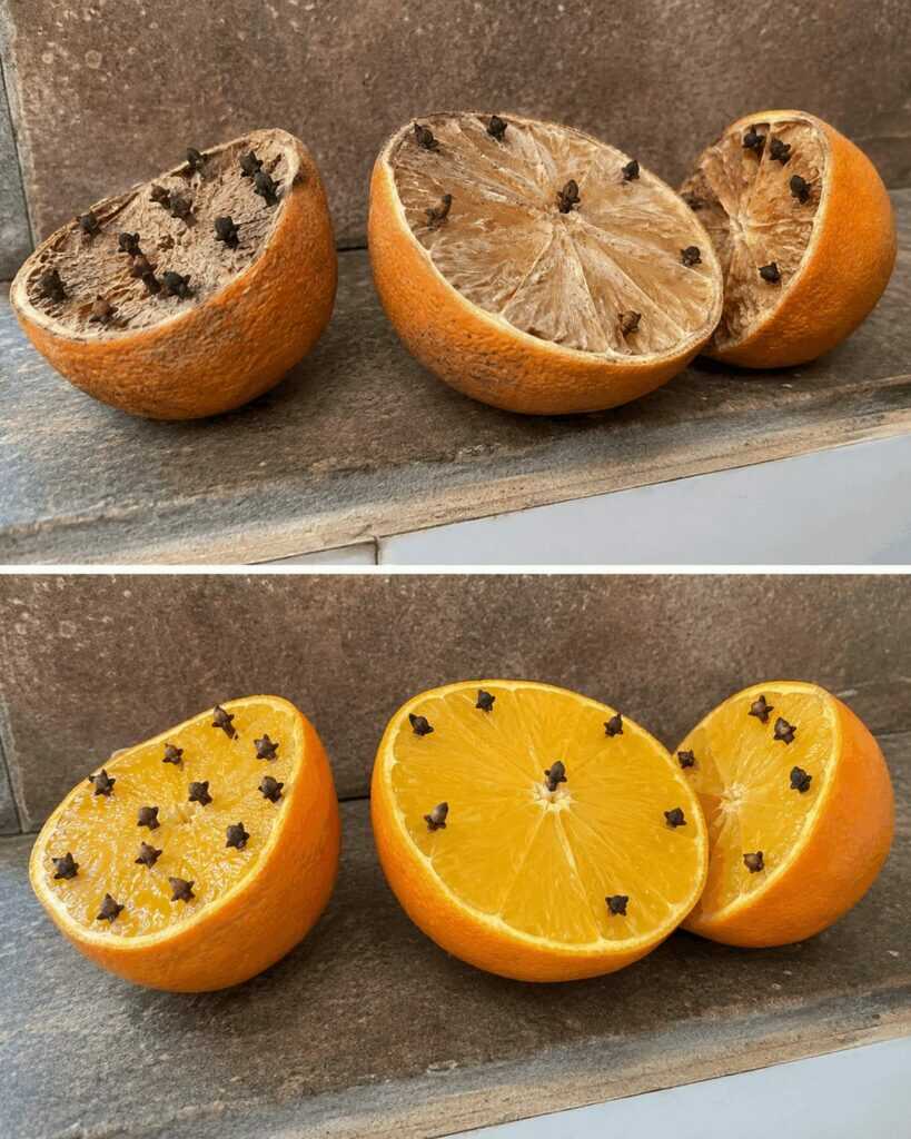 Fliegen im Haus vertreiben: Einfache Methoden mit Orange, Gewürznelken und guter Vorbeugung