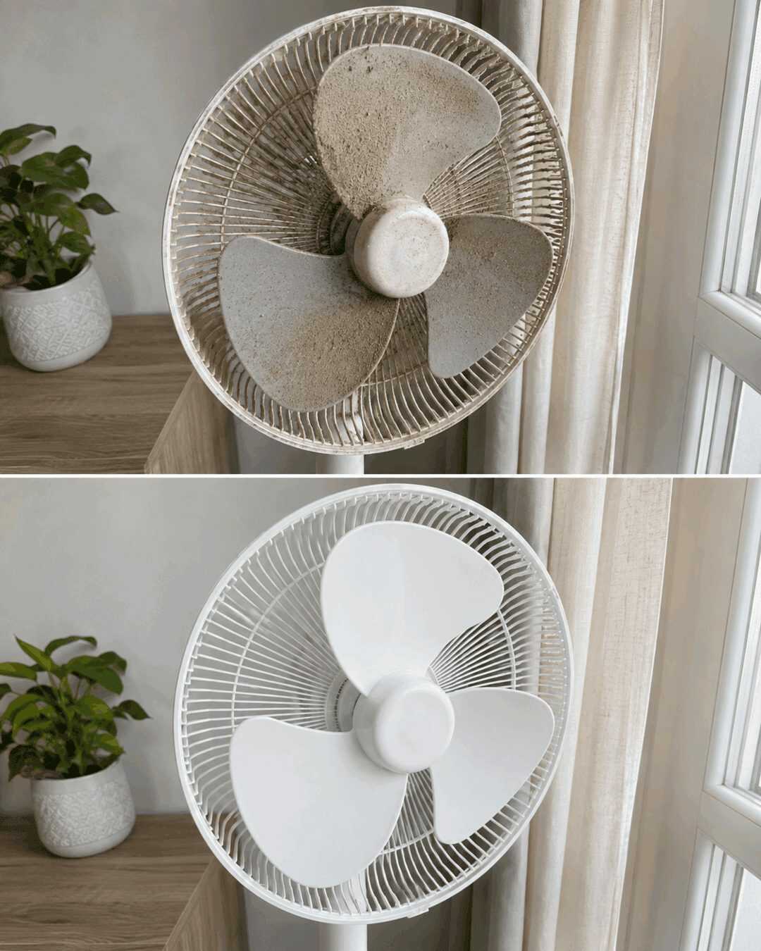 Ventilator richtig reinigen: So entfernen Sie Staub und Schmutz gründlich und sicher
