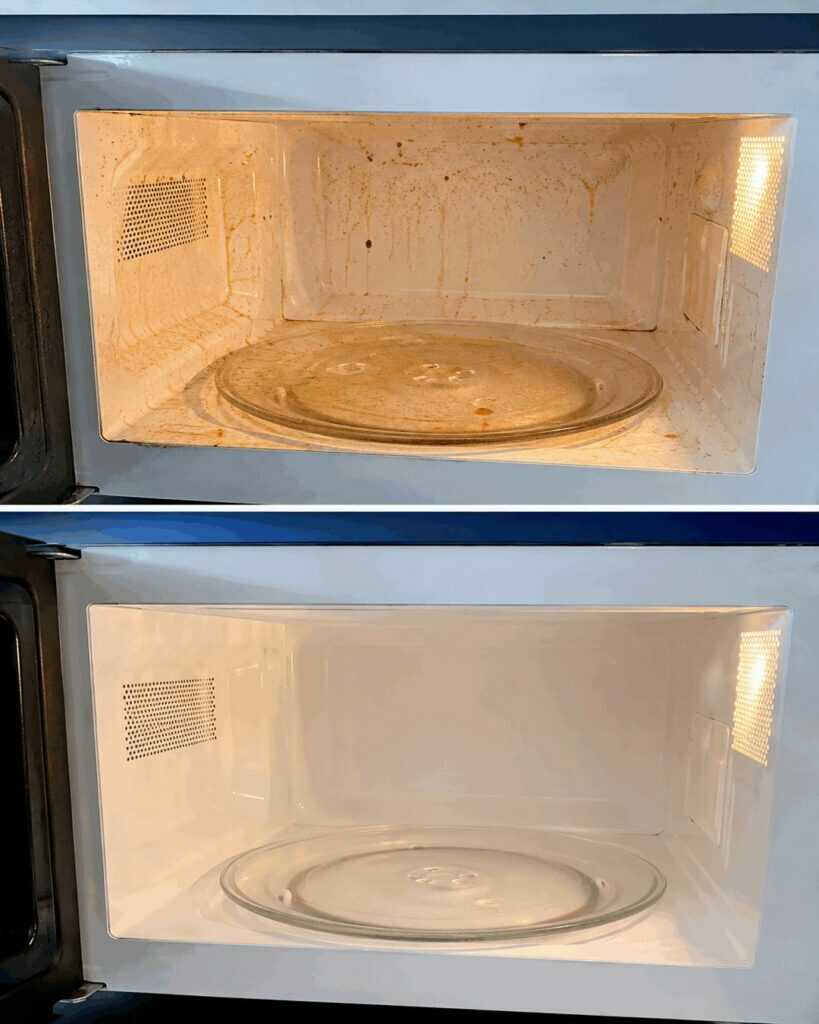 Mikrowelle gründlich reinigen: So lösen sich Fett, Spritzer und eingetrocknete Essensreste