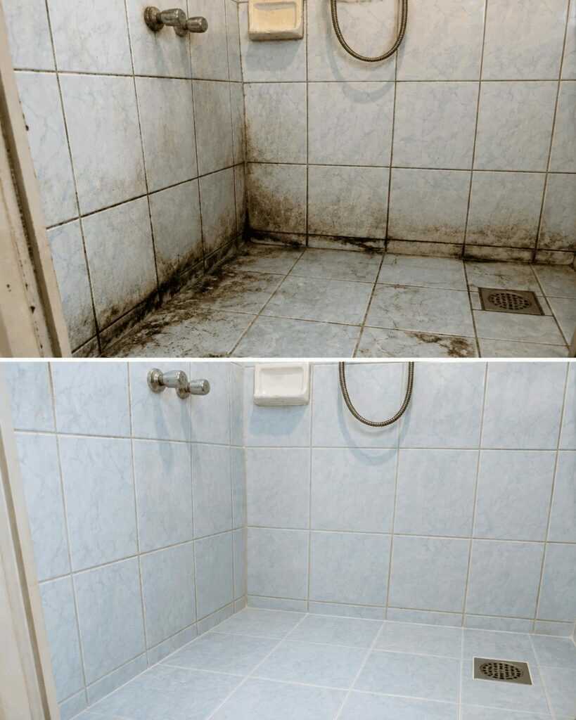 Schimmelfugen in der Dusche sicher entfernen und dauerhaft vorbeugen