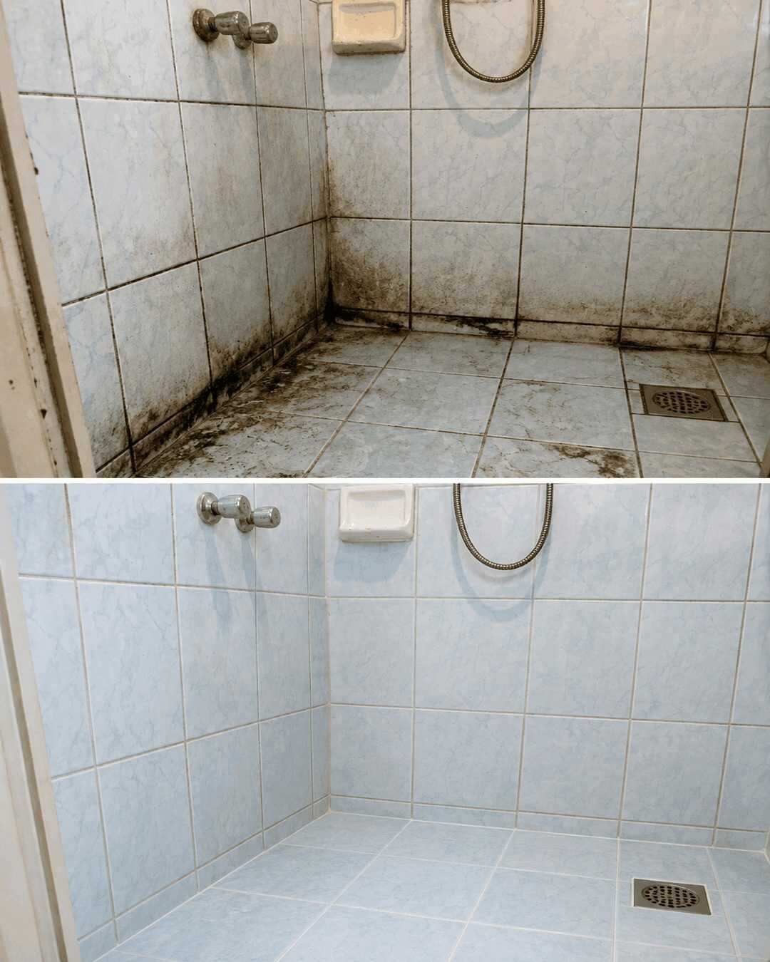 Schimmelfugen in der Dusche sicher entfernen und dauerhaft vorbeugen