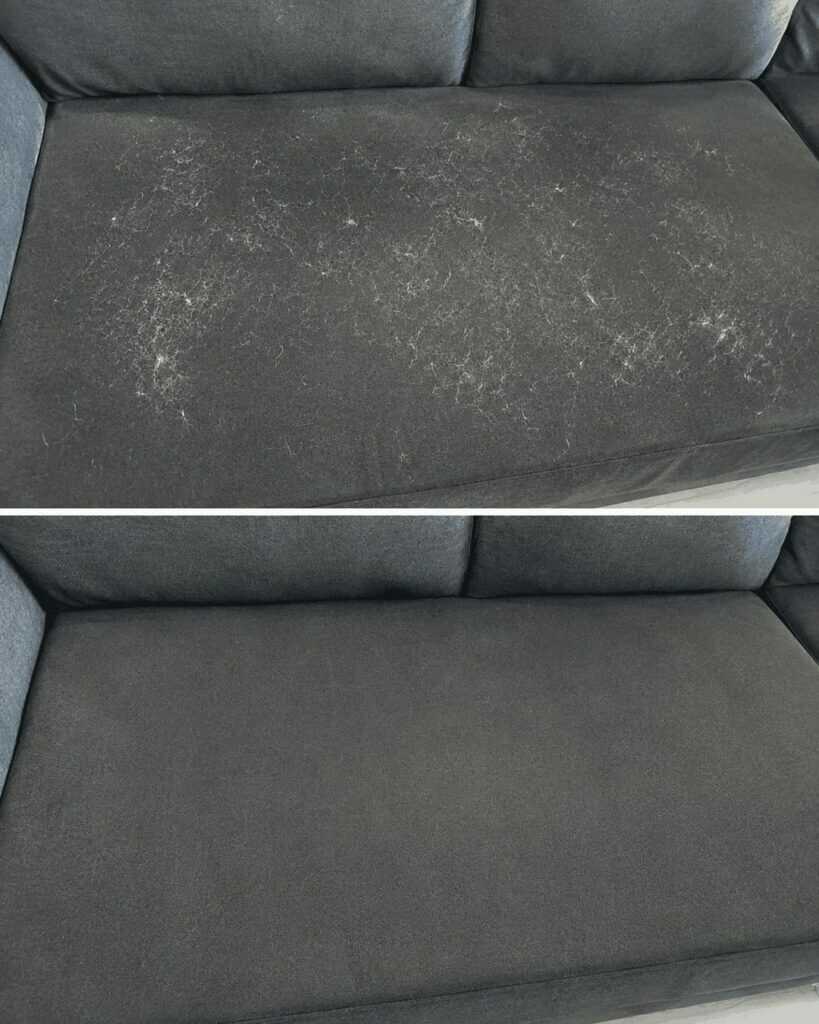 Schluss mit Tierhaaren auf dem Sofa: So entfernen Sie Fusseln und Haare einfach, günstig und ohne Spezialgeräte