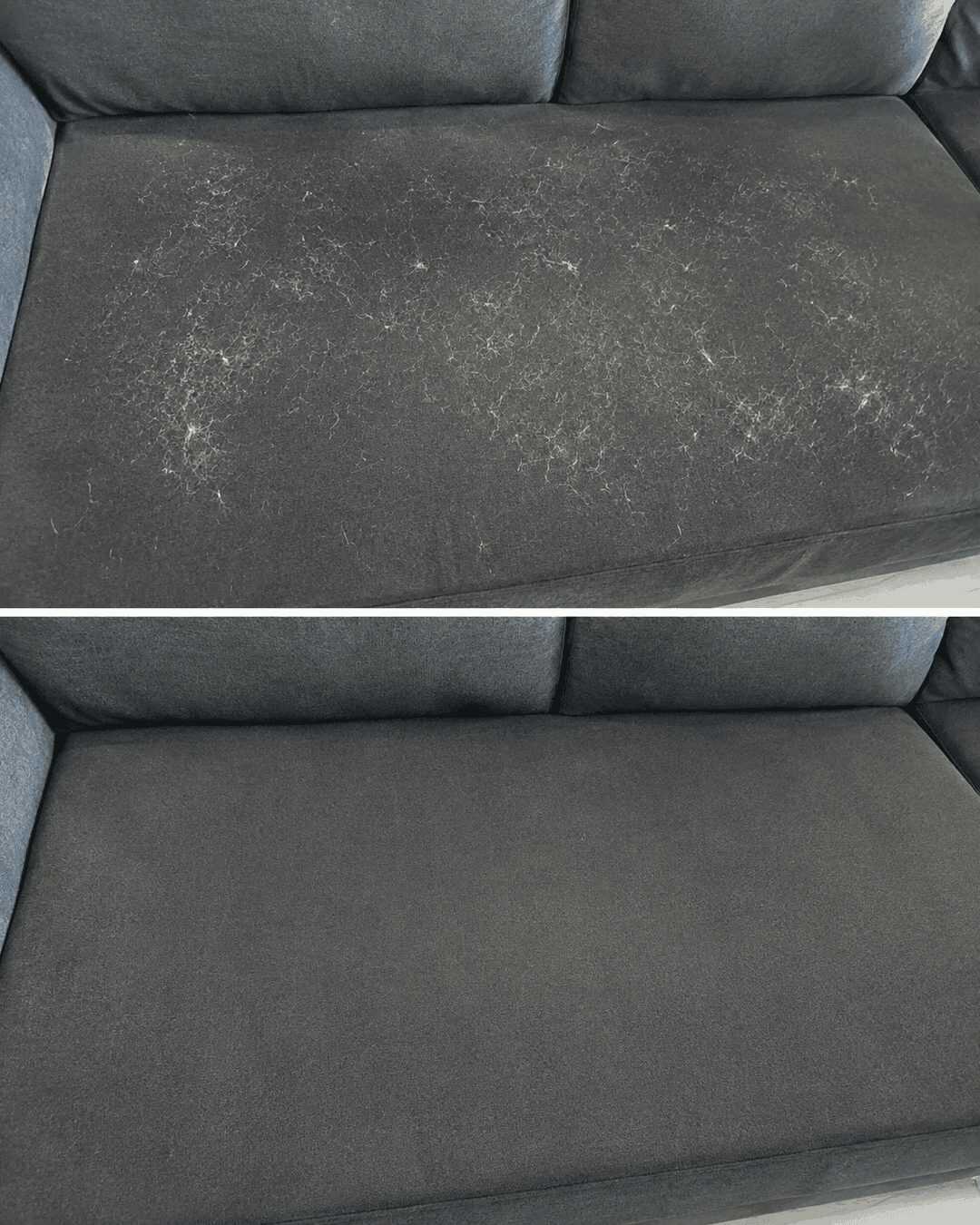 Schluss mit Tierhaaren auf dem Sofa: So entfernen Sie Fusseln und Haare einfach, günstig und ohne Spezialgeräte
