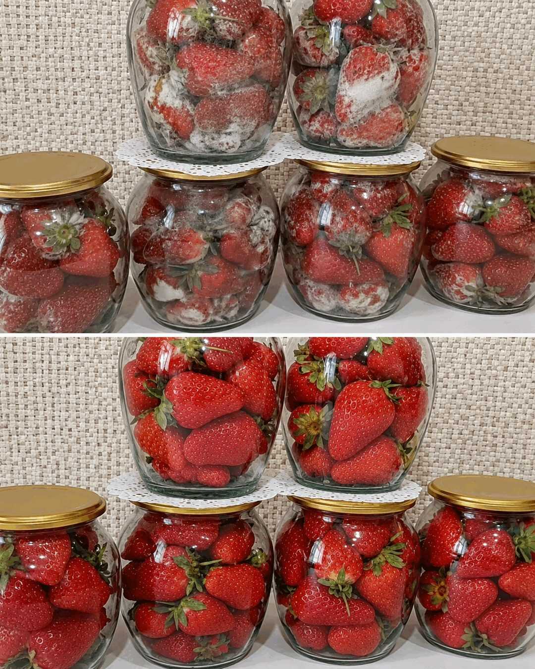 Erdbeeren länger frisch halten: So lagern Sie die empfindlichen Früchte richtig