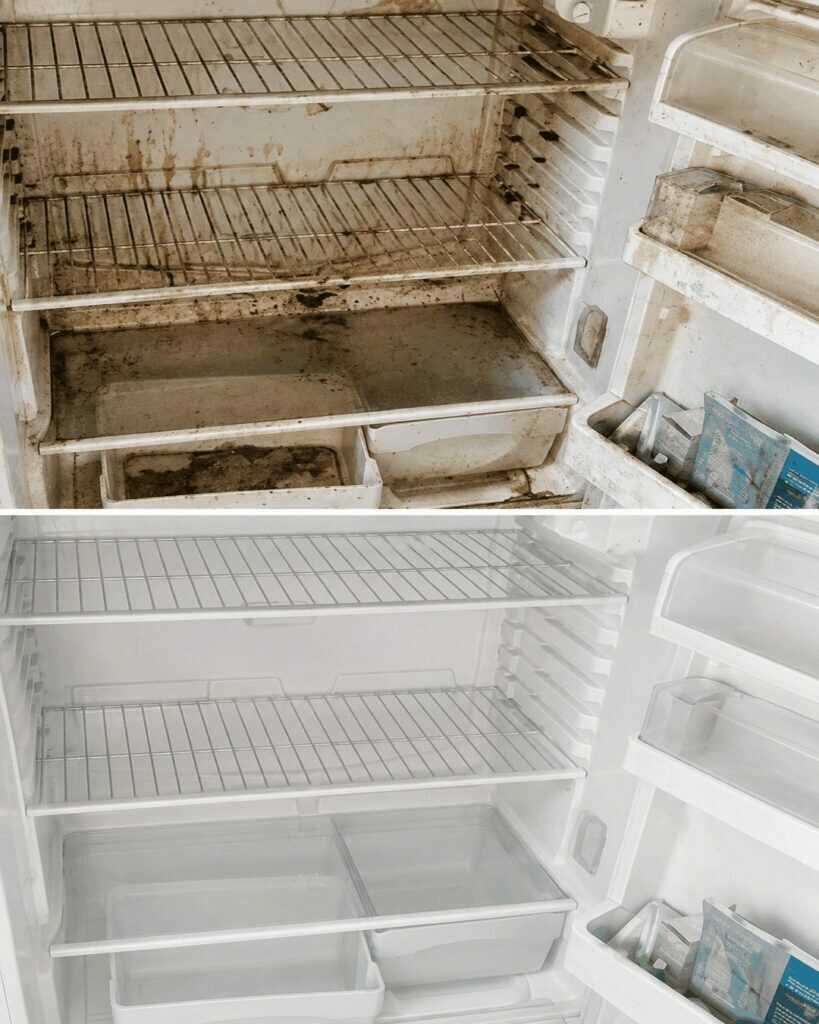 Kühlschrank gründlich reinigen: Mit dieser günstigen Methode wird er schnell wieder hygienisch sauber