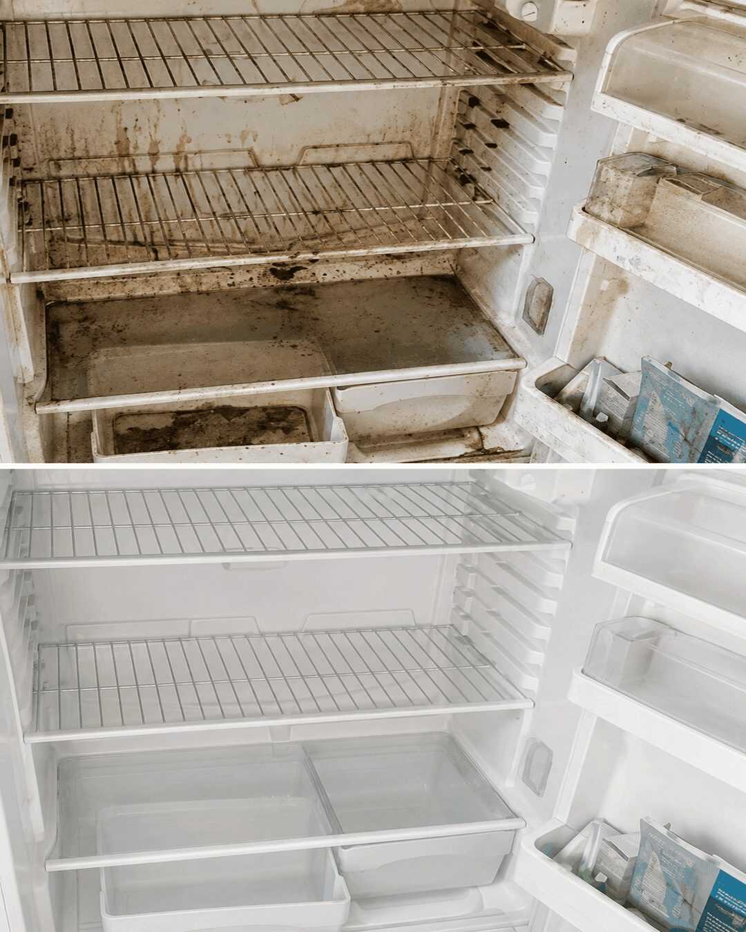 Kühlschrank gründlich reinigen: Mit dieser günstigen Methode wird er schnell wieder hygienisch sauber