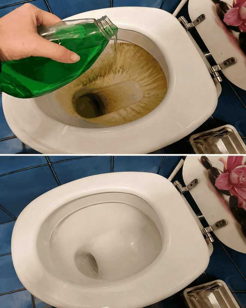 Die Toilette eine ganze Woche lang frisch halten – mit dieser einfachen Reinigungsroutine