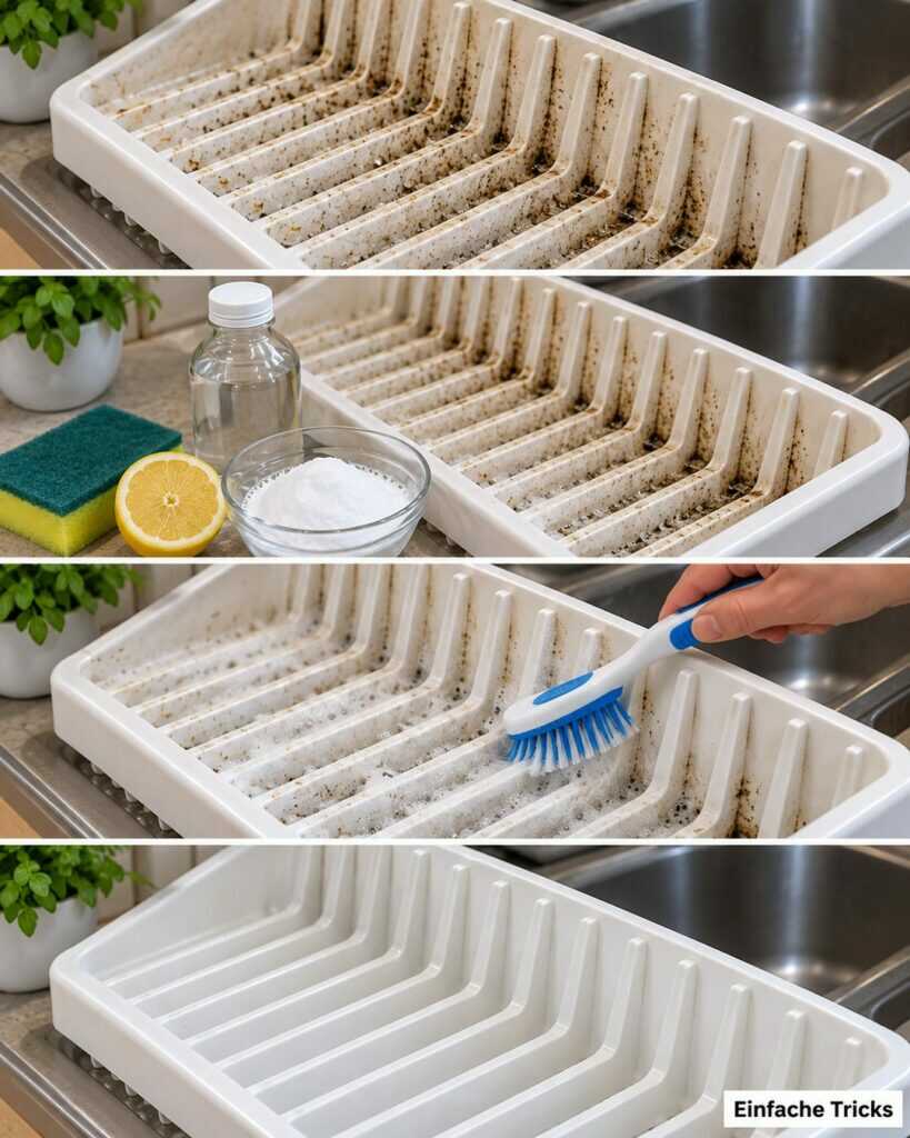 Abtropfgestell voller Schmutz und Ablagerungen? So werden selbst enge Rillen wieder sauber