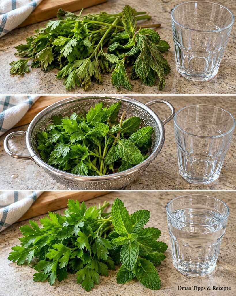 Petersilie und Minze richtig waschen: So bleiben frische Kräuter länger aromatisch