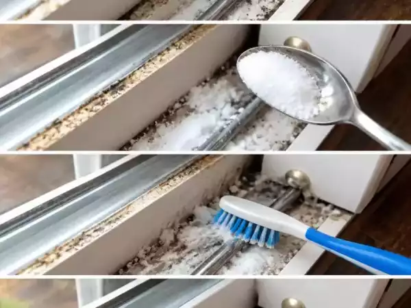 Fensterrahmen voller Schmutz? Mit diesem einfachen Trick werden selbst enge Schienen wieder sauber