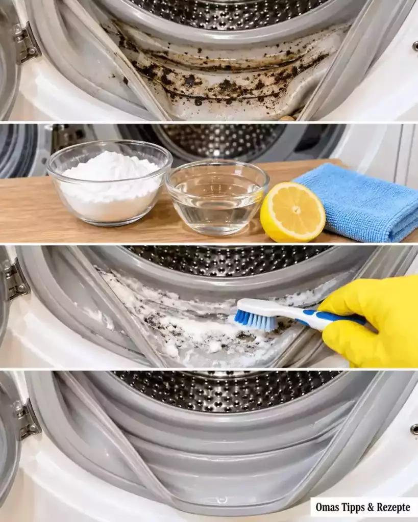 Schimmel in der Waschmaschine? So wird die Gummidichtung wieder hygienisch sauber