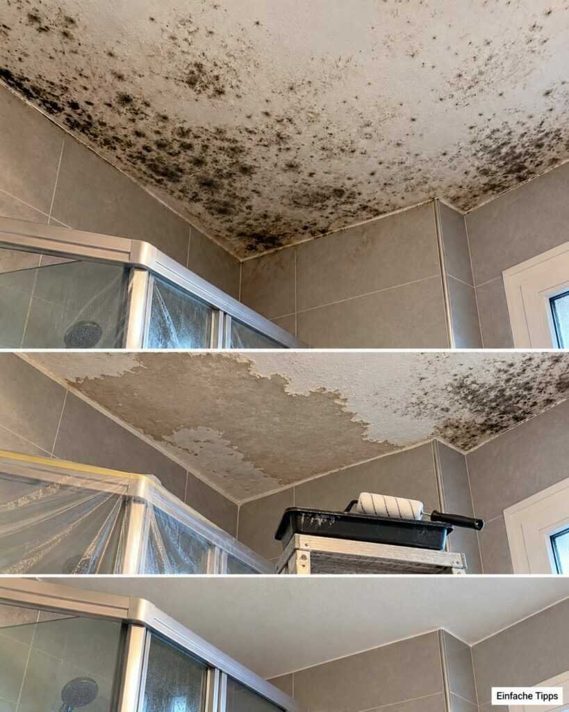 Schimmel an der Badezimmerdecke? Warum Überstreichen nicht reicht – und was wirklich hilft